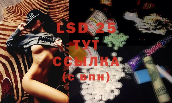 хмурый Сатка