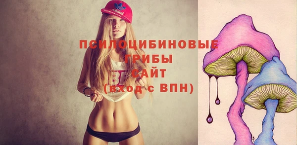 бутират Алзамай