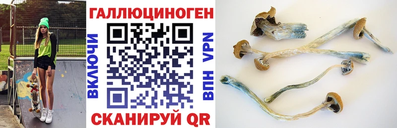 Галлюциногенные грибы ЛСД  купить наркотик  Кола 
